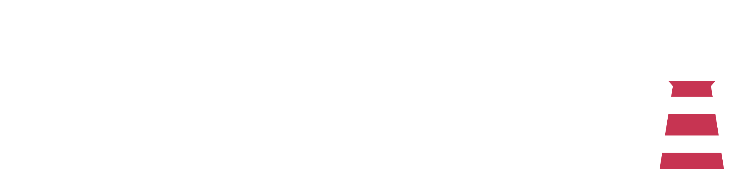 Silvia Martinez-Markus Logotipo en negativo